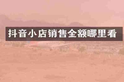 抖音小店销售金额哪里看