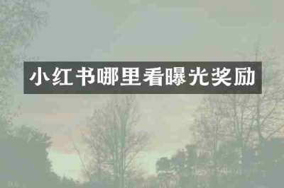 小红书哪里看曝光奖励