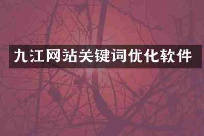 九江网站关键词优化软件