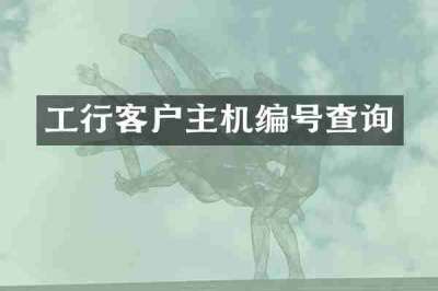 工行客户主机编号查询