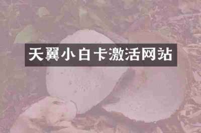 天翼小白卡激活网站