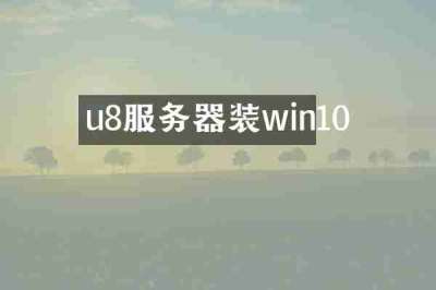 u8服务器装win10
