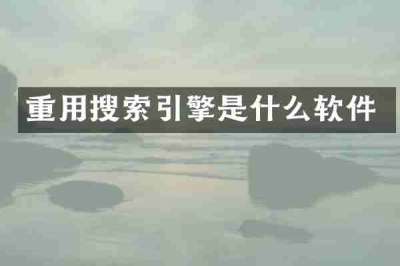 重用搜索引擎是什么软件