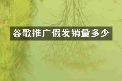 谷歌推广假发销量多少
