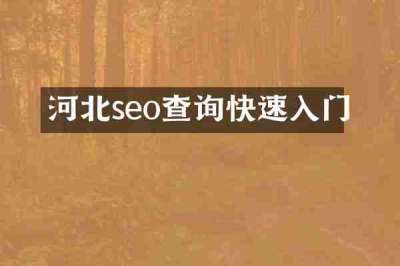 河北seo查询快速入门