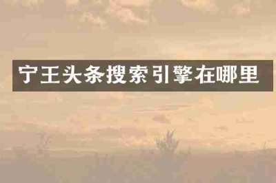 宁王头条搜索引擎在哪里