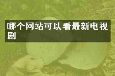 哪个网站可以看最新电视剧