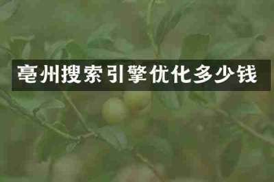 亳州搜索引擎优化多少钱
