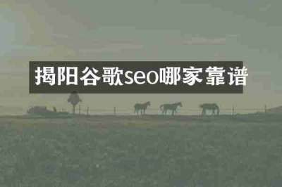揭阳谷歌seo哪家靠谱