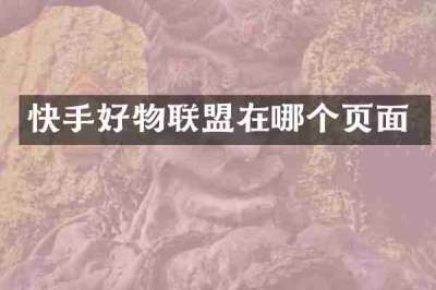 快手好物联盟在哪个页面
