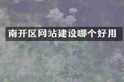 南开区网站建设哪个好用