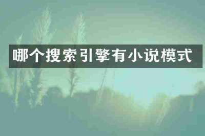 哪个搜索引擎有小说模式
