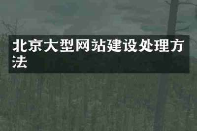 北京大型网站建设处理方法