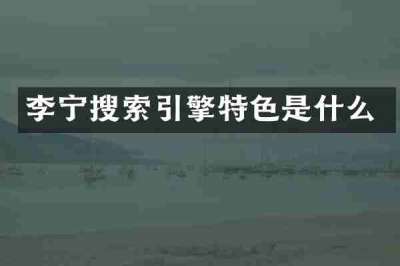 李宁搜索引擎特色是什么