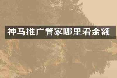 神马推广管家哪里看余额