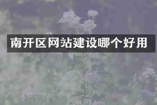 南开区网站建设哪个好用