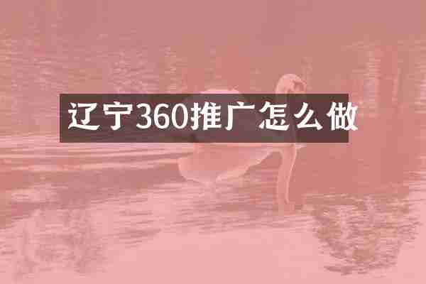 辽宁360推广怎么做