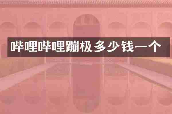 哔哩哔哩蹦极多少钱一个