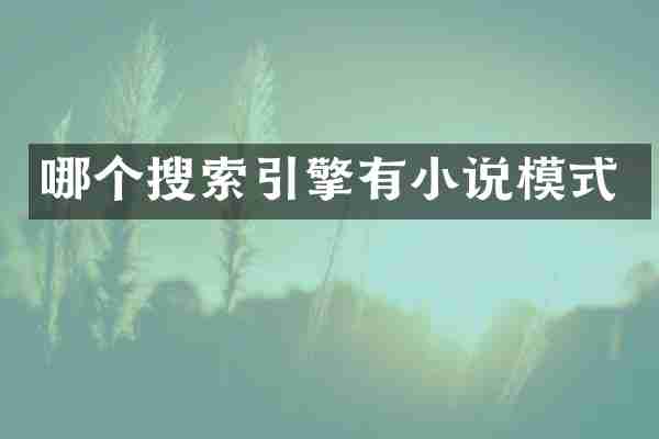 哪个搜索引擎有小说模式