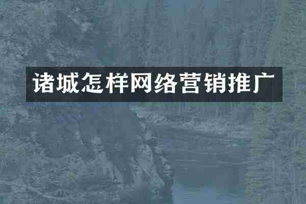 诸城怎样网络营销推广