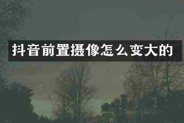 抖音前置摄像怎么变大的