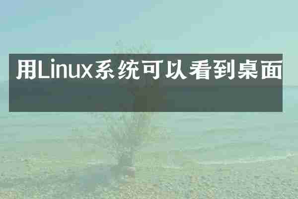 用Linux系统可以看到桌面吗