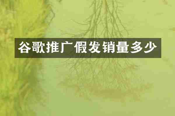 谷歌推广假发销量多少