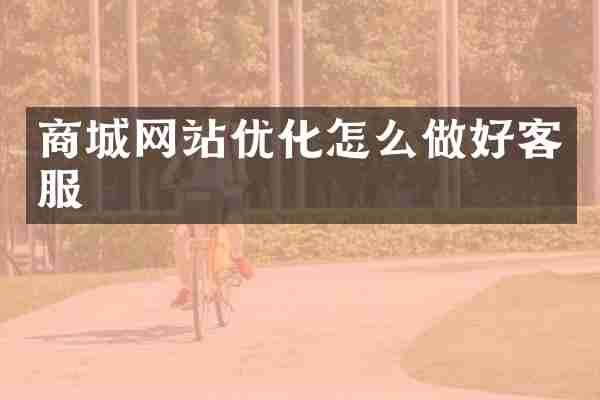 商城网站优化怎么做好客服