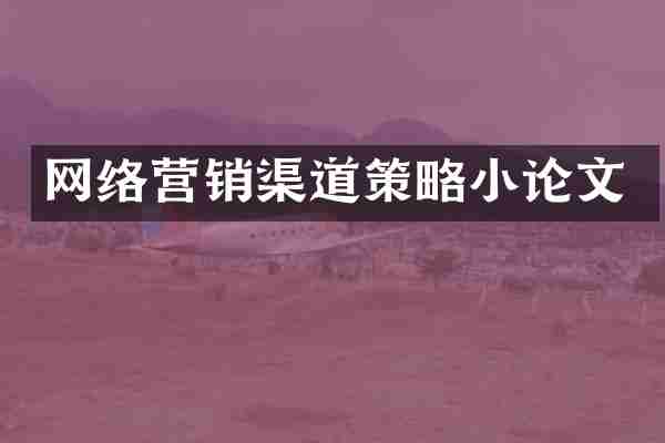 网络营销渠道策略小论文