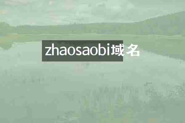 zhaosaobi域名