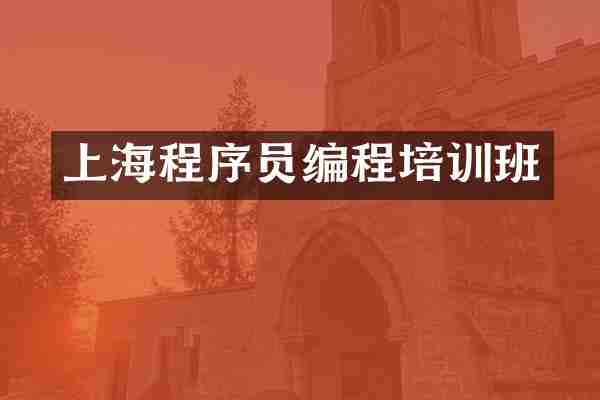 上海程序员编程培训班