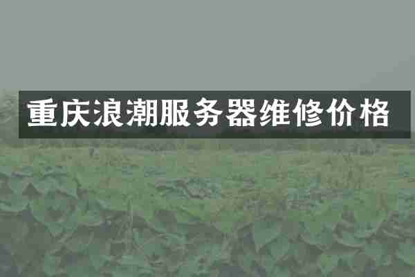 重庆浪潮服务器维修价格