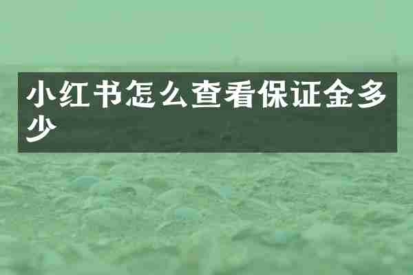 小红书怎么查看保证金多少