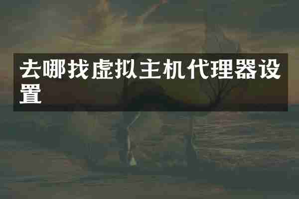 去哪找虚拟主机代理器设置