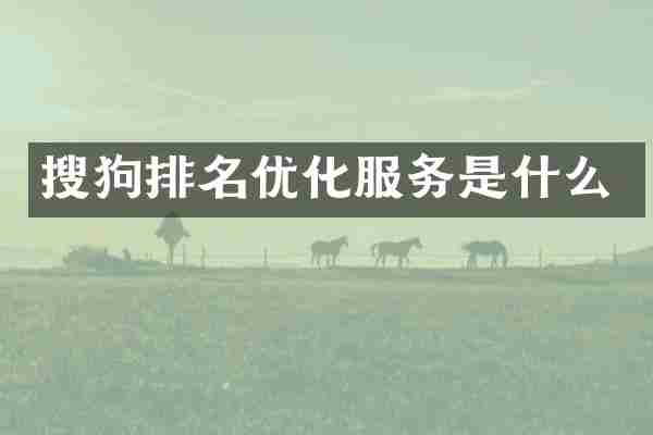 搜狗排名优化服务是什么
