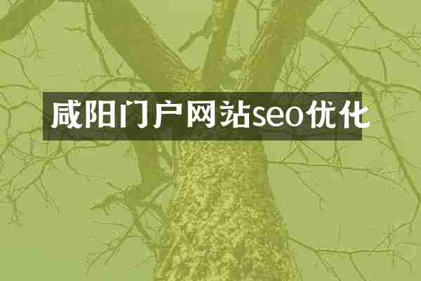 咸阳门户网站seo优化