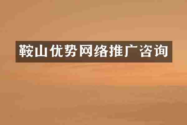 鞍山优势网络推广咨询