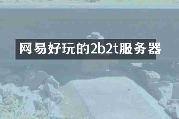网易好玩的2b2t服务器