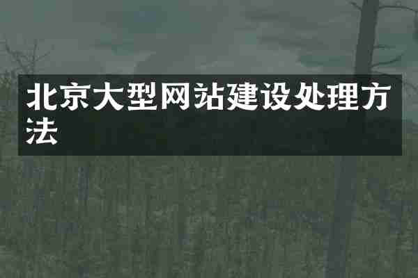 北京大型网站建设处理方法