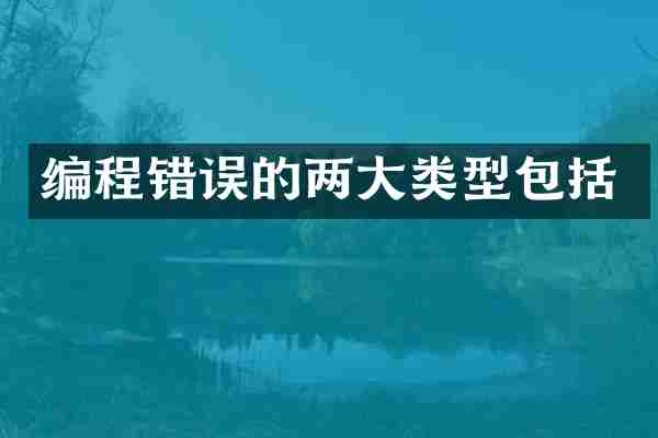 编程错误的两大类型包括