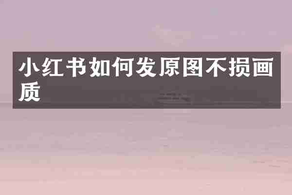 小红书如何发原图不损画质