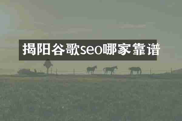 揭阳谷歌seo哪家靠谱