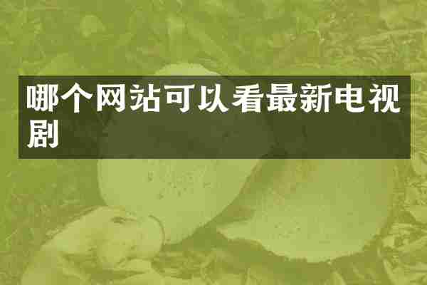 哪个网站可以看最新电视剧