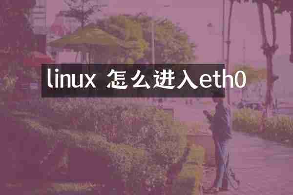 linux 怎么进入eth0