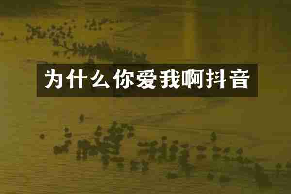 为什么你爱我啊抖音