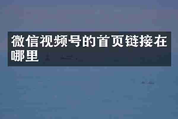 微信视频号的首页链接在哪里
