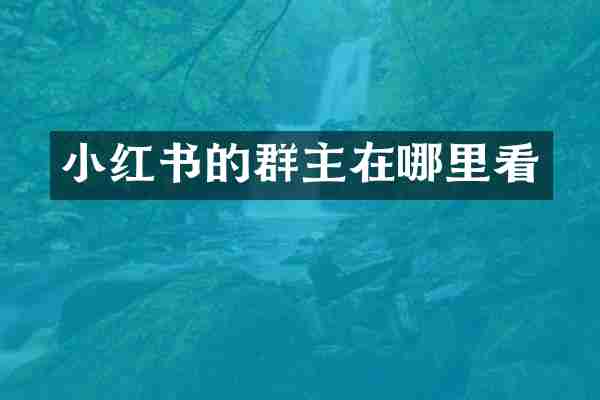 小红书的群主在哪里看