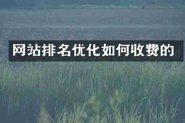 网站排名优化如何收费的