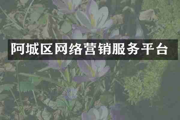 阿城区网络营销服务平台