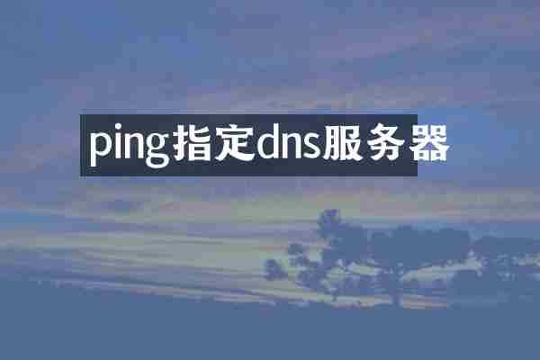 ping指定dns服务器